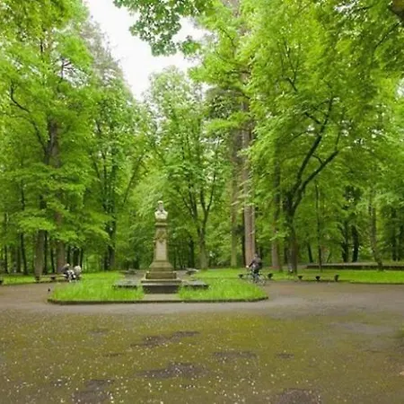 центр трускавца Apartment *